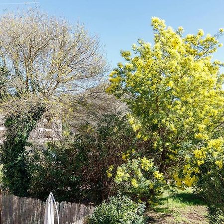 Palme D'Or Yourhosthelper Mandelieu La Napoule Bagian luar foto